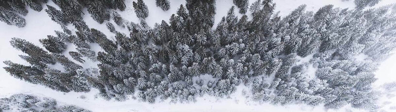 Bird eye’s view!, by Kimon Maritz